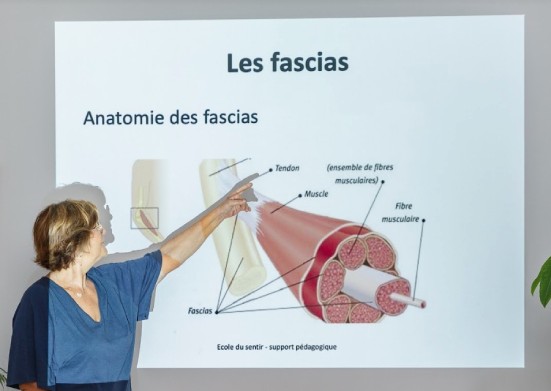 Nouveau-projet-2022-09-27T141439.230